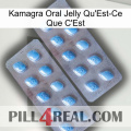 Kamagra Oral Jelly What Is It viagra4
